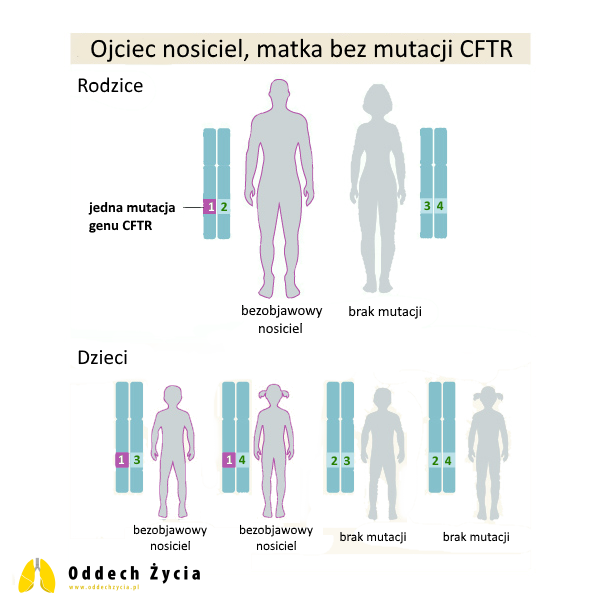 Ojciec nosiciel zmutowanego genu CFTR, matka bez zmutowanych genów CFTR - mukowiscydoza