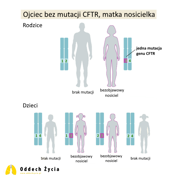 ojciec bez mutacji CFTR, matka nosicielka jednej mutacji CFTR - mukowiscydoza
