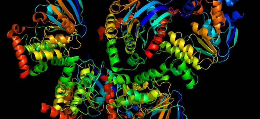 białko CFTR w mukowiscydozie
