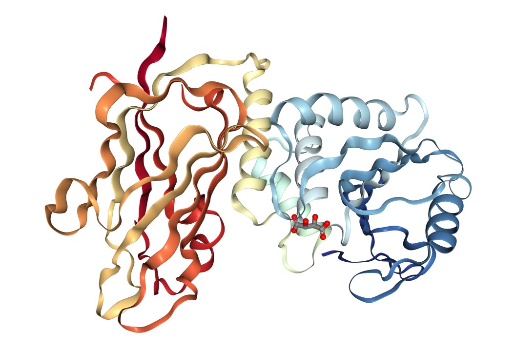 Białko PTEN i jego rola w mukowiscydozie