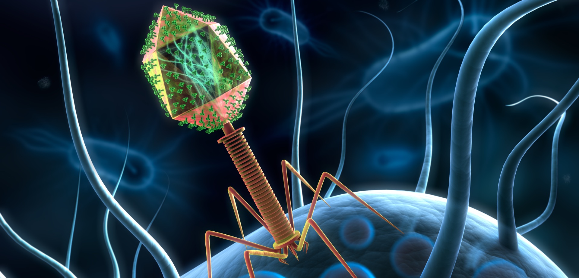 bakteriofag w leczeniu pseudomonas