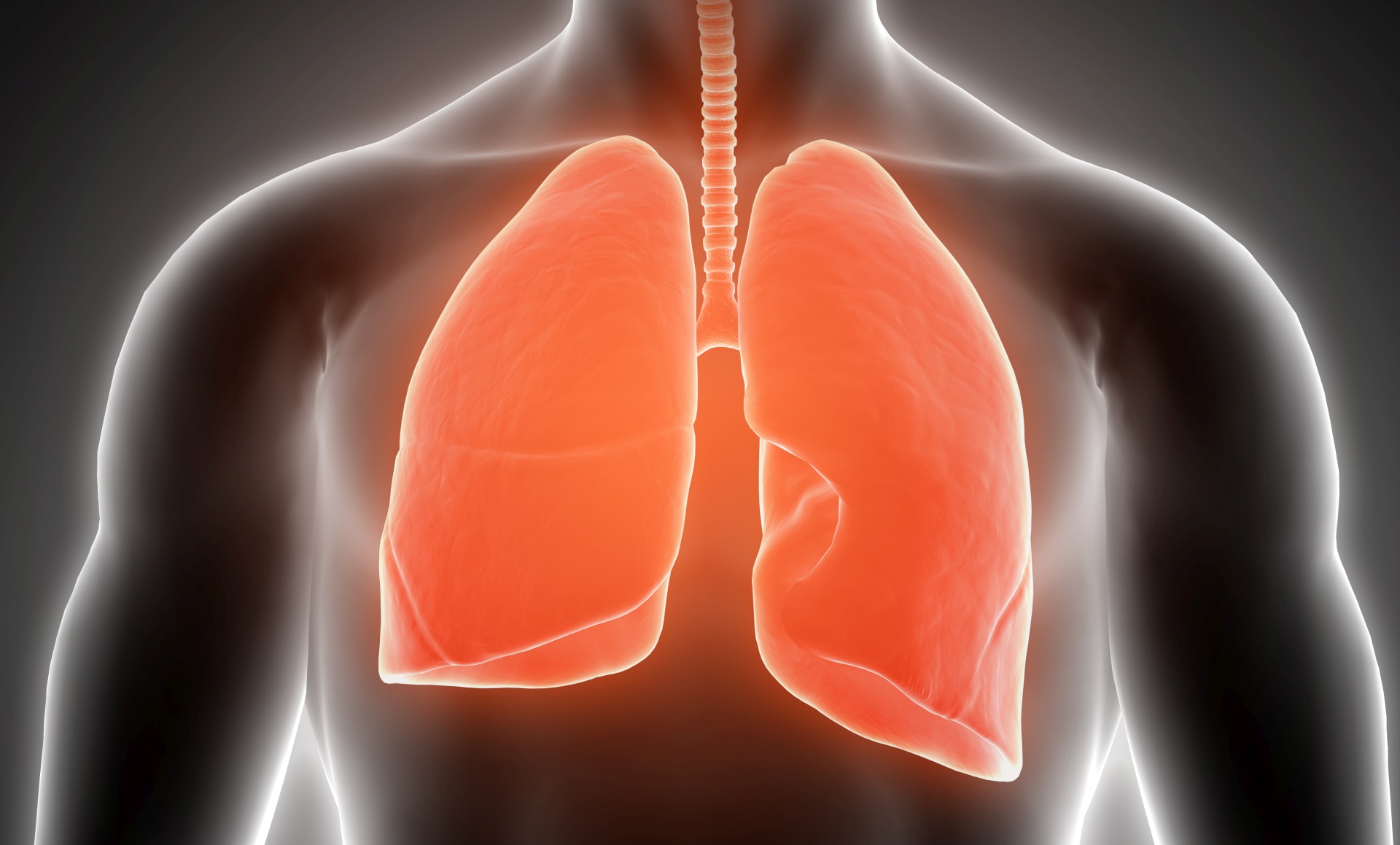 płuca w mukowiscydozie