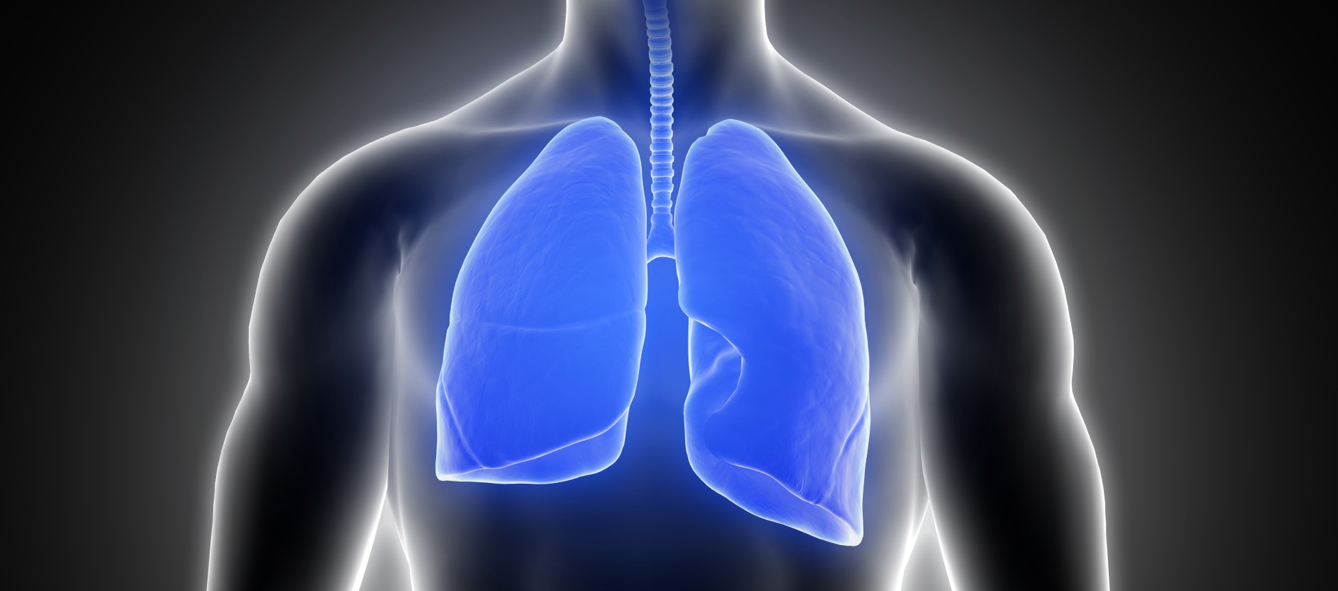płuca u chorego z mukowiscydozą
